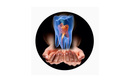Профилактика, гигиена полости рта — Стоматология «M-STOM (М-СТОМ)» – цены - фото