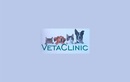 Ветеринарная клиника «VetaClinic (ВетаКлиник)» - фото