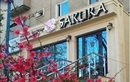 Салон красоты «Sakura (Сакура)» - фото