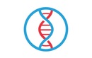 Генетика —  Центр молекулярной медицины – цены - фото