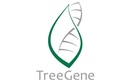 Генетическая лаборатория «TreeGene (ТриГен)» - фото