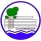 Логотип Сосновый бор - фото лого