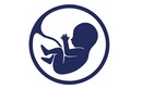 Логотип УЗИ брюшной полости — BabyScan (БейбиСкан) центр ультразвуковых исследований плода – прайс-лист - фото лого