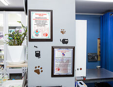 Ветеринарная клиника Биоритм, Ветеринарная клиника «Биоритм» - фото 19