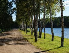 Санаторий Сосновый бор, Территория - фото 6