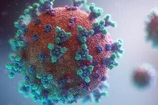 Некоторые люди имеют иммунитет к коронавирусу, хотя не болели COVID-19