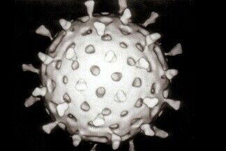 Ослабленные ротавирусы будут бороться с раком?