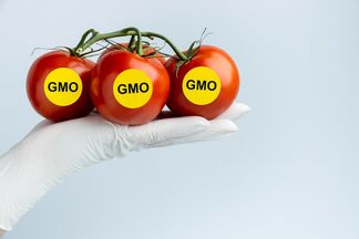 Специалист рассказала, сколько ГМО может содержаться в продуктах, которые продают в Казахстане