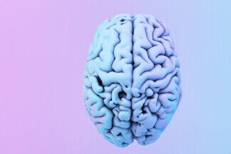 Сам себе психолог: 10 быстрых тестов, которые расскажут о вашем мозге