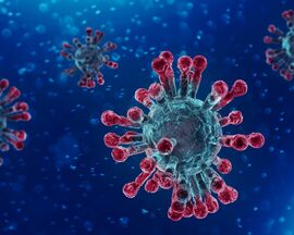 Ученые обнаружили антитело, которое защищает от всех штаммов коронавируса