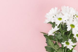 С астмой в ритме мегаполиса. Полезные советы