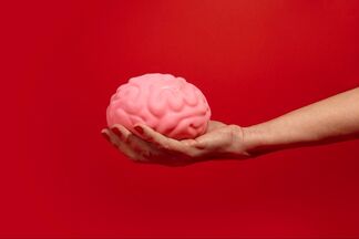 Исследователи получили первые изображения мозга человека на самой мощной в мире МРТ — посмотрите!