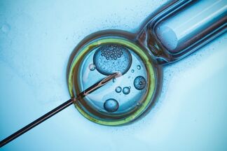 Заморозить яйцеклетки и сперматозоиды возможно? Все о криоконсервации