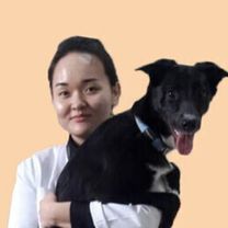 Мылтыкбаева Гульбану Арманкызы