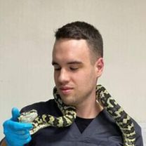 Чебан Дмитрий Олегович