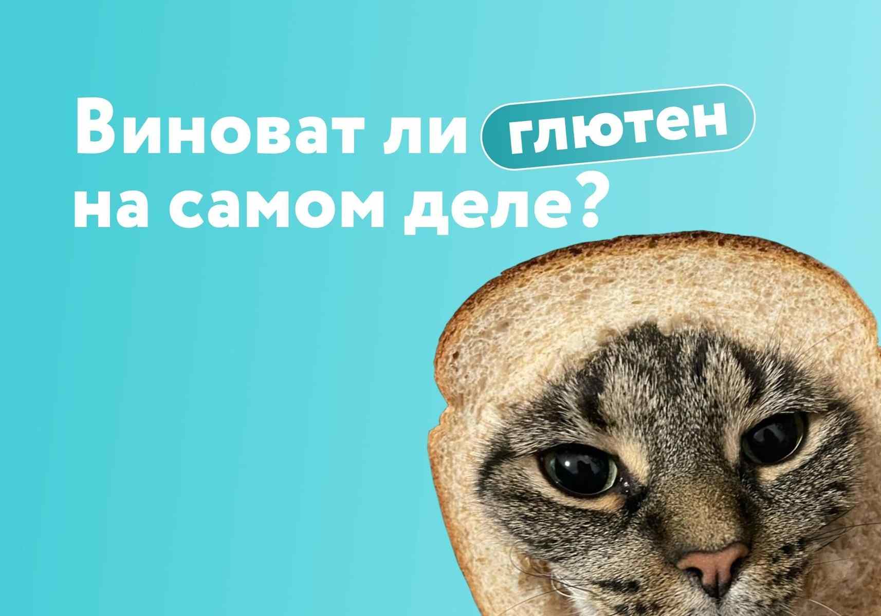 Пищевые непереносимости vs аллергия. Почему всем вдруг стало плохо от глютена и лактозы?