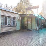 Аурика - фото 1