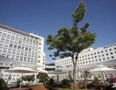 Медтуризм WOWVOS (Воувос), WOWVOS - фото 1