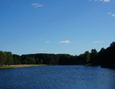Санаторий Сосновый бор, Территория - фото 3