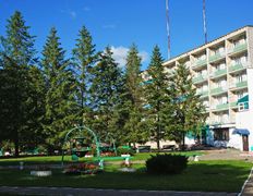 Санаторий Сосновый бор, Территория - фото 1