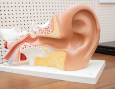 null Центр социальной адаптации и профессионально-трудовой реабилитации детей и подростков с нарушением умственного физического развития, Центр САТР - фото 7