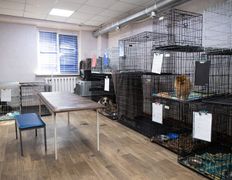 Ветеринарная клиника Матроскин, Галерея - фото 10