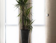 Стоматологический центр Whitestory (Уайтстори), Галерея - фото 13