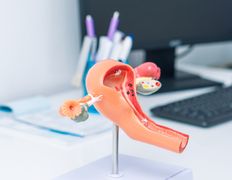 Медицинский центр Ultraline (Ультралайн), Ultraline (Ультралайн) - фото 10