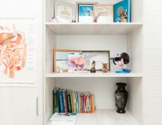 Центр гастроэнтерологии и диетологии   GASTROMED (ГАСТРОМЕД), Галерея - фото 5