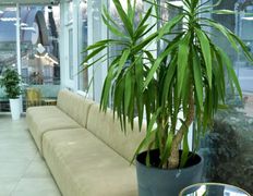 Многопрофильный медицинский центр Эмирмед, EMIRMED - фото 4