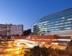 Медтуризм WOWVOS (Воувос), WOWVOS - фото 5