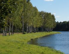 Санаторий Сосновый бор, Территория - фото 4