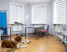 Ветеринарная клиника Матроскин, Галерея - фото 20