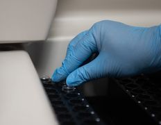 Научно-исследовательский институт здоровья Эмирмед, Галерея - фото 10