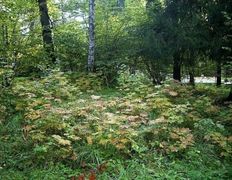 Санаторий Криница, Галерея - фото 14