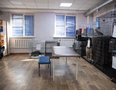 Ветеринарная клиника Матроскин, Галерея - фото 12