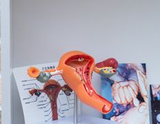 Медицинский центр Ultraline (Ультралайн), Галерея - фото 20