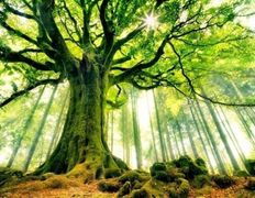 Санаторий Криница, Галерея - фото 15