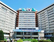 Медтуризм WOWVOS (Воувос), WOWVOS - фото 2