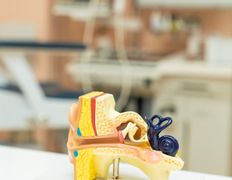 Центр аллергологии для взрослых и детей German Medical Center (GMC) (Джерман Медикал Центр (ДжиЭмСи)), German Medical Center - фото 19