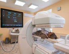 Учреждение здравоохранения  Могилевский областной онкологический диспансер, Галерея - фото 6