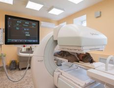 Учреждение здравоохранения  Могилевский областной онкологический диспансер, Галерея - фото 19