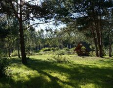 Санаторий Сосновый бор, Территория - фото 5