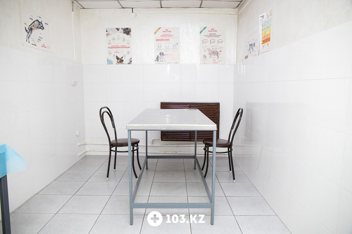 Галерея Ветеринарная клиника «Матроскин» - фото 1639710