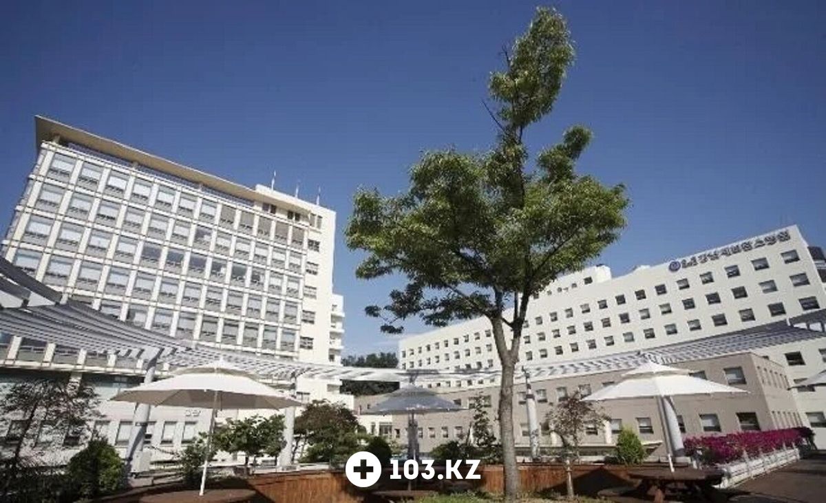 WOWVOS Медтуризм «WOWVOS (Воувос)» - фото 1636420