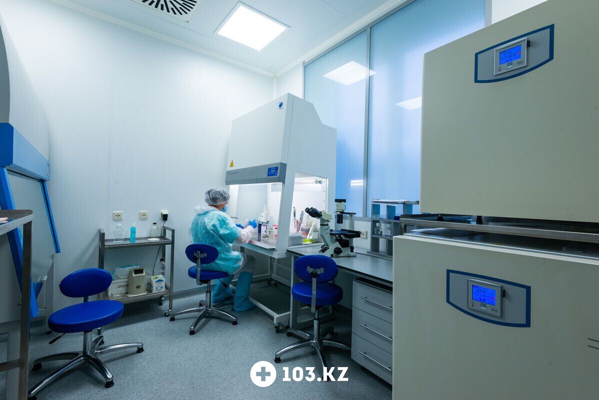 Галерея  Отделение клеточной терапии Института биофизики и клеточной инженерии НАН Беларуси - фото 1641066