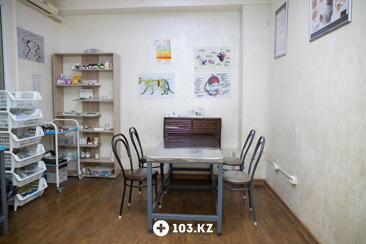 Галерея Ветеринарная клиника «Матроскин» - фото 1639709