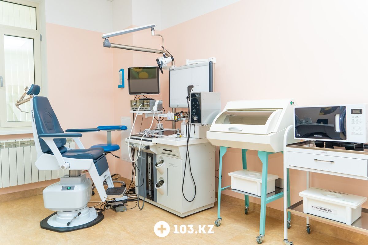 German Medical Center Центр аллергологии для взрослых и детей German Medical Center (GMC) (Джерман Медикал Центр (ДжиЭмСи)) - фото 1633991