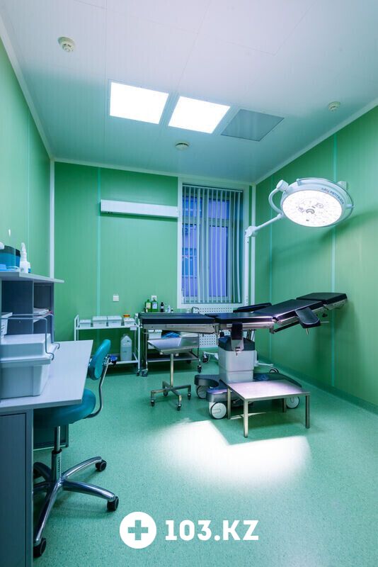 Галерея  Отделение клеточной терапии Института биофизики и клеточной инженерии НАН Беларуси - фото 1641057