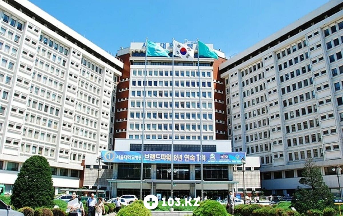 WOWVOS Медтуризм «WOWVOS (Воувос)» - фото 1636421